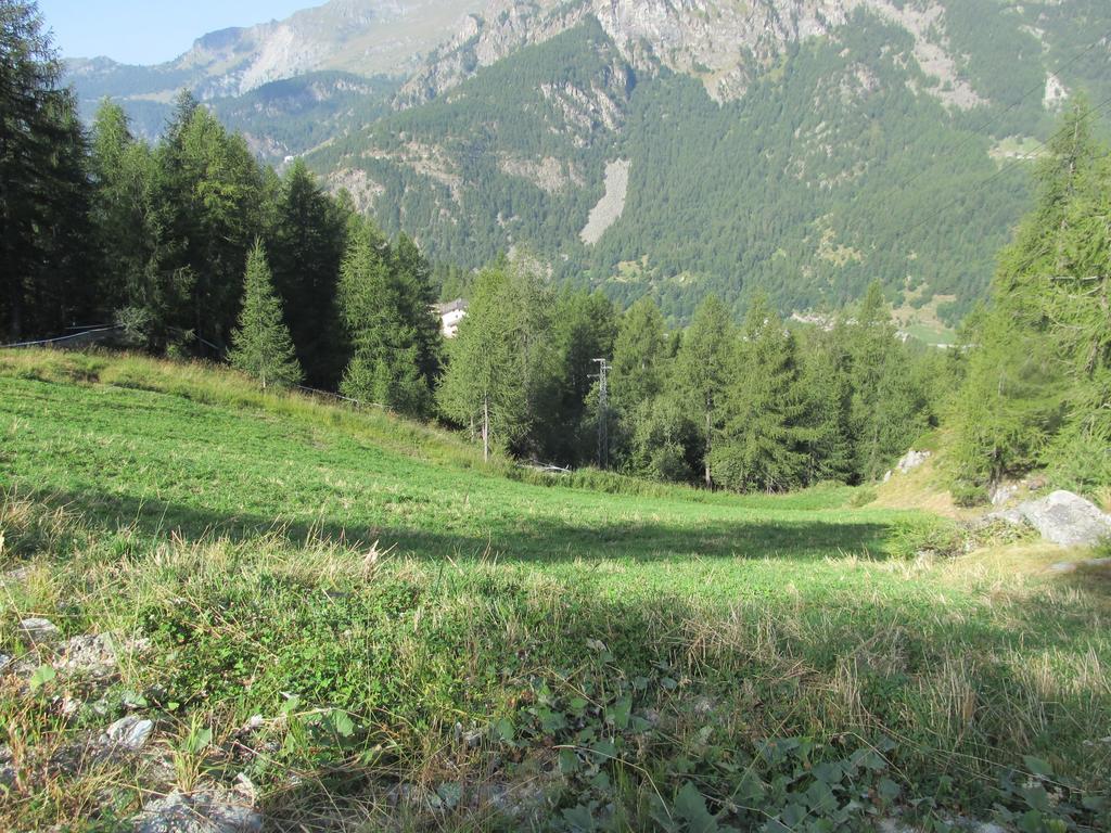 Cervino Valley House Rododendro Breuil-Cervinia Quarto foto